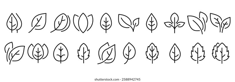 A collection of elegant and modern leaf outline icons. Perfect for eco-friendly designs, nature branding, and botanical projects.