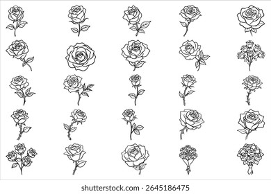 A Collection of Elegant Rose Outlines Diverse Floral Illustrations Showcasing the Timeless Beauty and Versatility of Roses in Botanical Art
