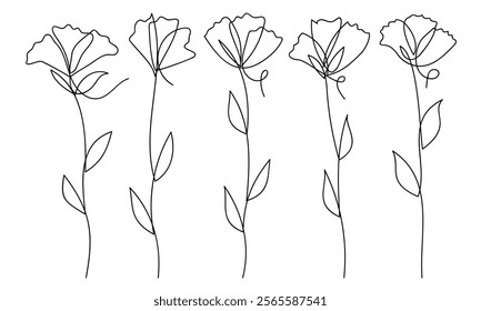 A collection of elegant single line art flower illustrations, perfect for minimalist and modern designs.