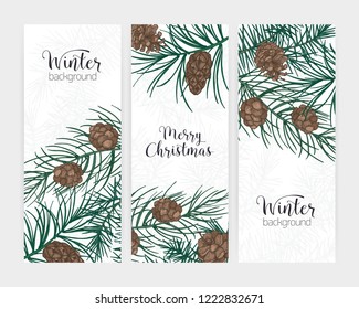 Collection of elegant vertical festive winter backgrounds with forest coniferous tree branches and cones and holiday lettering. Bundle of seasonal banner templates. Christmas vector illustration.