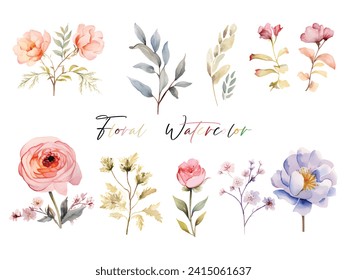 Une collection d'élégantes fleurs à l'aquarelle