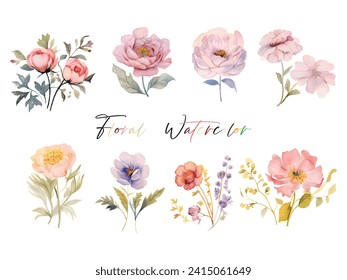 Une collection d'élégantes fleurs à l'aquarelle