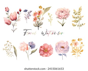 Une collection d'élégantes fleurs à l'aquarelle