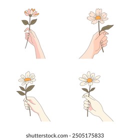 Collection of Elegant Woman Hand Holding Daisy Chamomile Flower Floral Stalk