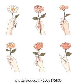 Collection of Elegant Woman Hand Holding Daisy Rose Flower Floral Stalk