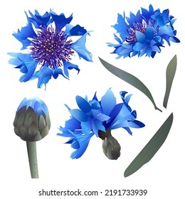Sammlung von Elementen einer blauen Blume, Maisblume, um Design-Arbeit, Karten, Einladungen, etc. zu erstellen.