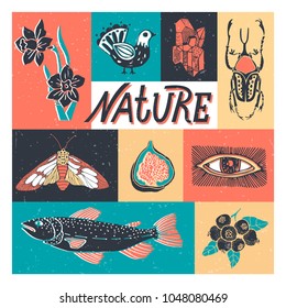 Collection of elements of nature. Set of icons with plants, animals, insects, executed in retro style