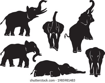 a collection of elephant illustrations in various positions
