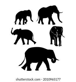 Collection of Elephant Silhouette Illustration Vector Images