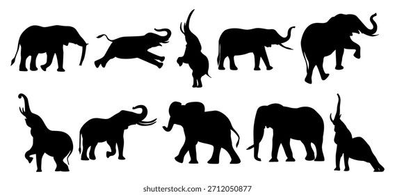 Una colección de Ilustraciones vectoriales de silueta de elefante. Siluetas negras sobre un fondo blanco que muestran varias poses de elefantes.
