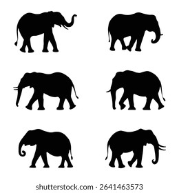 A Collection of  Elephant Silhouettes