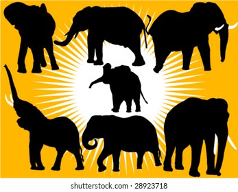 collection of elephants silhouettes