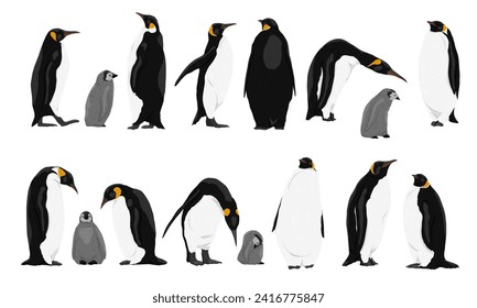 Collection of emperor penguins and their chicks. Emperor penguins Aptenodytes forsteri walk and stand. Realistic vector endemic animals of Antarctica