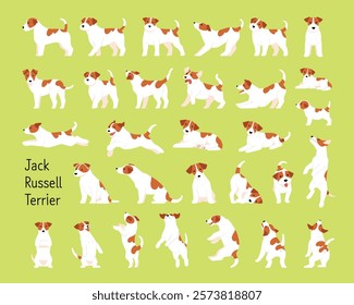 A collection of energetic Jack Russell Terrier moves.flat design style illustration.