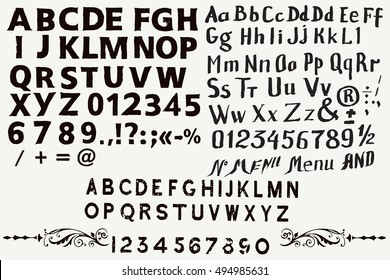Collection of English  hand drawn ABC for fonts  in vintage style