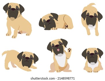 The collection of English Mastiff in many actions. Graphic resource about Pitbull for graphic, content, etc. 