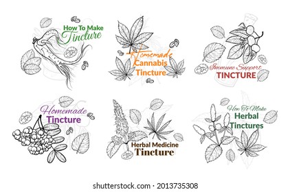 Collection engraved monochrome tincture labels vector flat illustration. Set minimalistic homemade herbal medicine drug immune support isolated on white. Sketch emblem with place for text