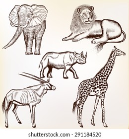 Collection of engraved savanna animals