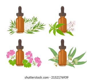 Colección de aceite esencial en el frasco de goteo de vidrio ámbar aislado en blanco. Verbena de limón, eucalipto, geranio y árbol de té. Ilustración vectorial del aceite aromático y de las plantas en estilo plano de dibujos animados.