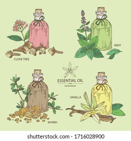 Collection of essential oil: clove tree essential oil, vanilla oil, mint essential oil and myrrh. Cosmetic, perfumery and medical plant. Vector hand drawn