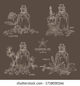 Collection of essential oil: clove tree essential oil, vanilla oil, mint essential oil and myrrh. Cosmetic, perfumery and medical plant. Vector hand drawn