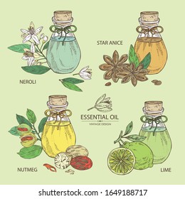 Collection of essential oil: neroli oil, star anise, lime oil and nut meg. Cosmetic, perfumery and medical plant. Vector hand drawn illustration.