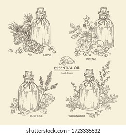 Collection of essential oil:  wormwood essential oil, patchouli essential oil,  incense and cedar oil. Cosmetic, perfumery and medical plant. Vector hand drawn illustration
