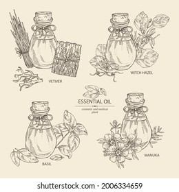 Collection of essential oils: vetiver root essential oil, manuka flower, basil oil, hamamelis virginiana flowers essential oil. Cosmetic, perfumery and medical plant. Vector hand drawn illustration.