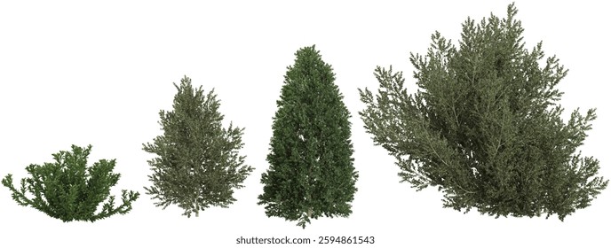 collection of European trees on transparent background