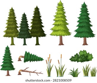 Collection of evergreen trees, fallen logs, cattails, and bushes isolated on white background.