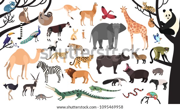 白い背景にサバンナ 熱帯の森 またはジャングルに住む珍しい動物や鳥のコレクション かわいい漫画のキャラクターのセット 明るい色の平らなベクターイラスト のベクター画像素材 ロイヤリティフリー