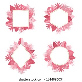Collection of exotic botanical design tropical pink leaves frame vector set on white background - Vector illustration