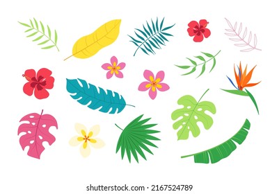 A collection of exotic bright and fun tropical leaves and flowers: banana palm, plumeria, hibiscus, strelitzia, monstera. Vector summer elements isolated on a white background.