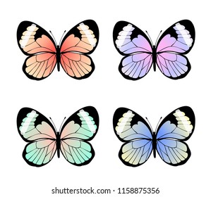 Collection of exotic colorful butterflies, vector illustration