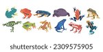 Collection Of Exotic Frogs Showcasing Vibrant Colors, Unique Patterns, And Diverse Species. Beautiful Tropical Animals