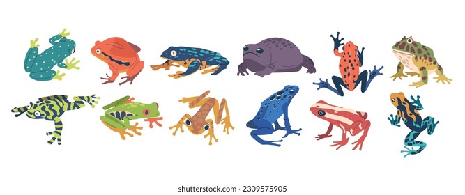 Collection Of Exotic Frogs Showcasing Vibrant Colors, Unique Patterns, And Diverse Species. Beautiful Tropical Animals