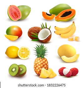 Collection of exotic fruit and berries. Papaya, guava, limon, banana, mango, coconut, kiwi, guava, melon, lychee, pineapple. Vector Set.