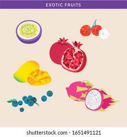 Collection of exotic fruits vector