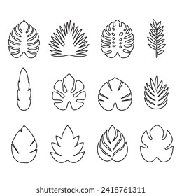 Collection of exotic leaves. Leaf icon set. Vector illustration