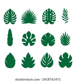 Colección de hojas exóticas. Juego de iconos de hoja. Ilustración del vector