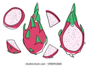 Collection of exotic pitahaya fruits, set of summer tropical fruits, pink and green color, network pitahaya icons vector illustrations, white background, flat icon, single line and color spots, doodle