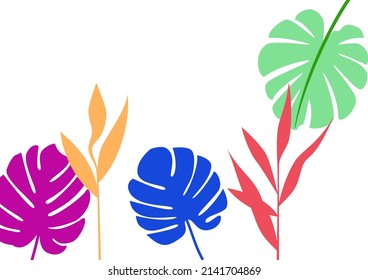 Collection of exotic plants and leaves. Red, green, blue, orange and purple colors. Isolated on white background. minimalistic clean style. Design for social media posts