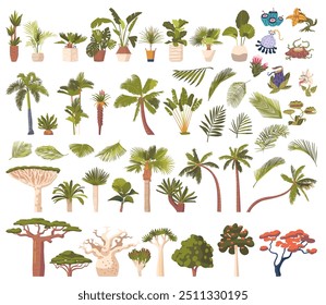 Colección De Plantas Exóticas Y Árboles Tropicales. Conjunto de varias hojas, plantas exóticas y ramas de palmeras