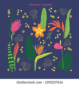 Collection of exotic tropical flowers in flat style. Botanical set with hand drawn plant elements, jungle floral foliage 