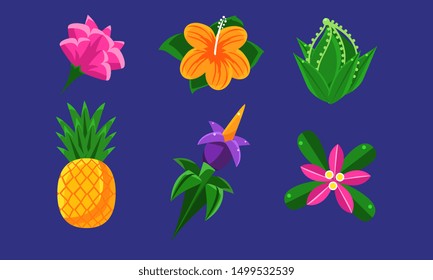 Collection of Exotic Tropical Fruits, Flowers and Palm Leaves Vector Illustration