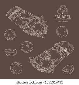 Collection of falafel in pita with vegetables: falafel, pita, tomato, lettuce and olives. Vegetarian fast food. Vector hand drawn illustration 