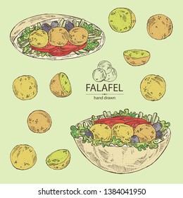Collection of falafel in pita with vegetables: falafel, pita, tomato, lettuce and olives. Vegetarian fast food. Vector hand drawn illustration