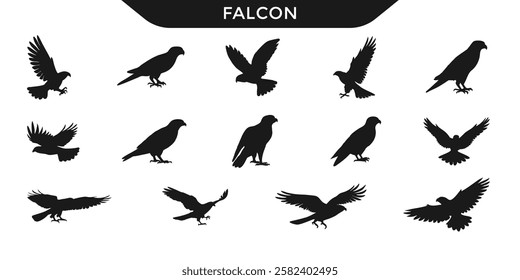 Collection of falcons silhouettes  in various poses