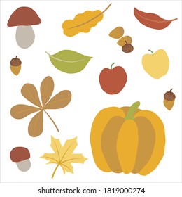 Collection of fall season symbols. Set of autumn related isolated objects. Mild colors. Leaves, acorns, apples, pumpkin, mushrooms, harvest. Can be used as stickers, decoration. Vector illustration 