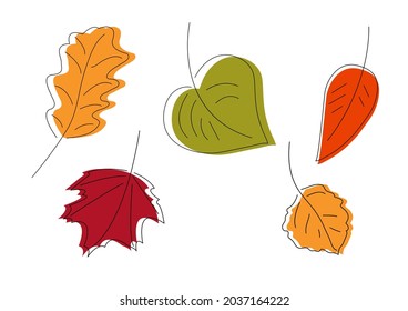 Collection of fallen autumn leaves of different shapes and colors